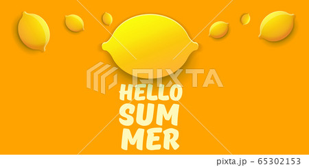 Vector Hello Summer Beach Party horizontal banner Design template with fresh lemon isolated on orange background. Hello summer concept label or poster with orange fruit and typographic text. 65302153