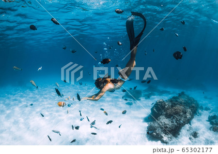 Free diver girl with fins glides over sandy bottom with tropical fishes in blue ocean Free diver girl with fins glides over sandy bottom with tropical fishes in blue ocean 65302177