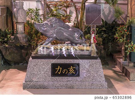 [東京・上野] 上野のアメヤ横丁に位置する摩利支天を祀る日蓮宗の徳大寺に立つ力の猪の石像の夜景撮影。 65302896