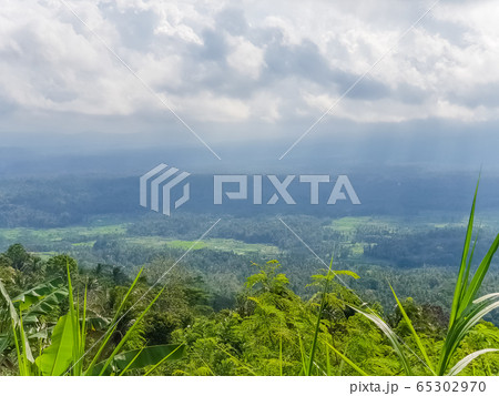 Top view on jungle from mountain on Bali, Top view on jungle from mountain on Bali, 65302970
