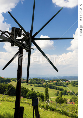 vineyard with windmill called klapotetz in south 65303015