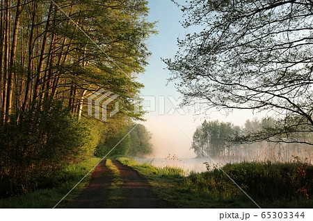 Country road on the edge of the lake during sunrise Country road on the edge of the lake during sunrise 65303344