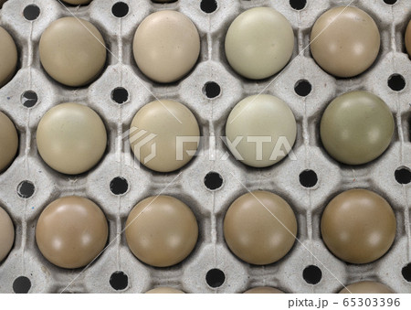 pheasant eggs in studio 65303396