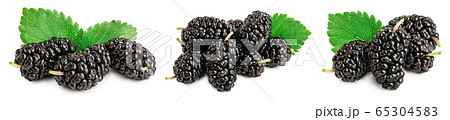 Mulberry with leaf isolated on white background. Set or collection Mulberry with leaf isolated on white background. Set or collection 65304583