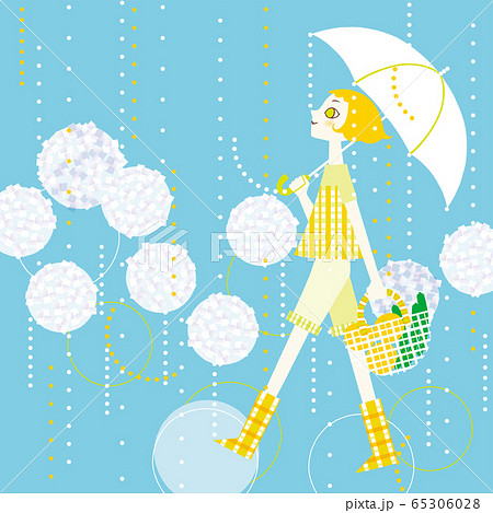 梅雨 しとしと雨 紫陽花と傘をさした買い物帰りの女性のイラスト素材