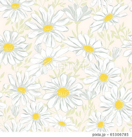 Chamomile seamless pattern. Chamomile seamless pattern. 65306785