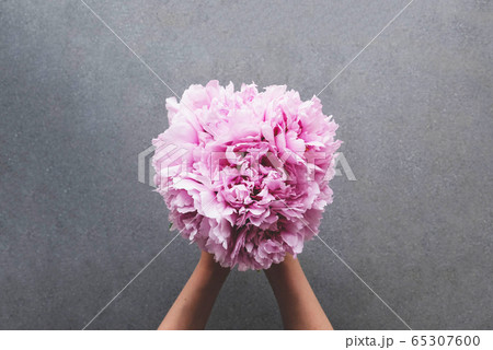 Hands holding beautiful bunch of fresh fluffy pink peonies in full bloom. 65307600