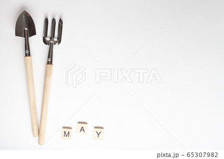 Tools for gardening at home. Growing food on windowsill. Copyspace for text, top view. Flatlay on Tools for gardening at home. Growing food on windowsill. Copyspace for text, top view. Flatlay on 65307982