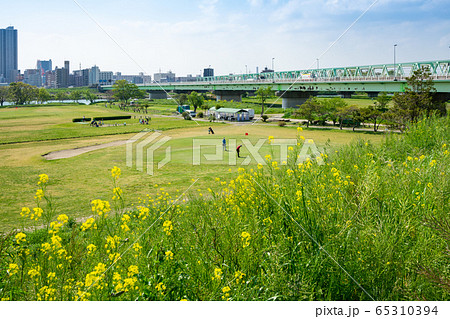 春の江戸川　河川敷＜千葉県松戸市2020年4月＞ 65310394