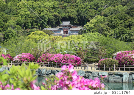 初夏の和歌浦天満宮 65311764