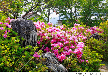 内原野公演 65313122
