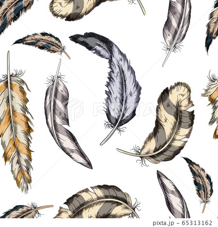 Vector colorful seamless pattern feathers bird on a white background. Vector colorful seamless pattern feathers bird on a white background. 65313162
