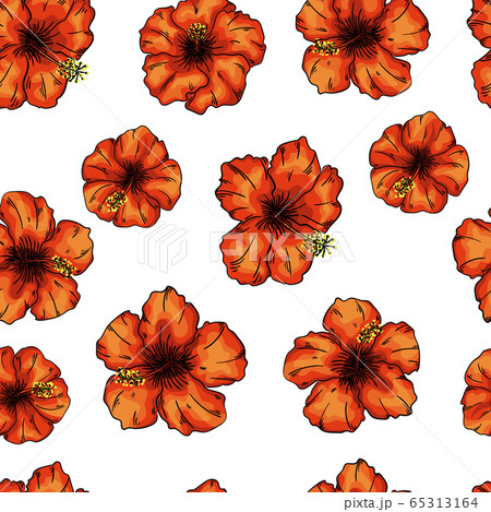 hibiscus flowers seamless pattern background. Tender flowers. 65313164