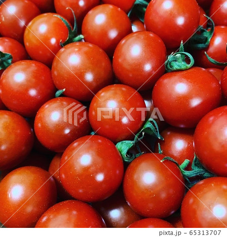 ミニトマト 65313707