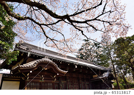 池田家上屋敷表門(黒門) 池田家上屋敷表門(黒門) 65313817