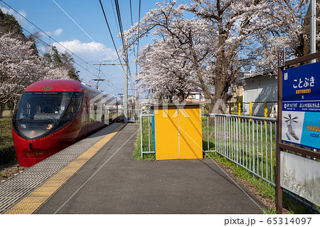 満開の桜 富士急寿駅 富士山ビュー特急 満開の桜 富士急寿駅 富士山ビュー特急 65314097