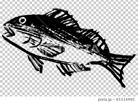 いさき　水彩画 65314495