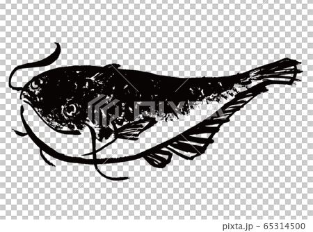 なまず 水彩画 なまず 水彩画 65314500