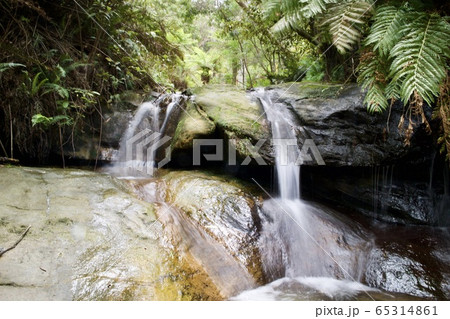 【オーストラリア 】 ルーラ・カスケード 【オーストラリア 】 ルーラ・カスケード 65314861