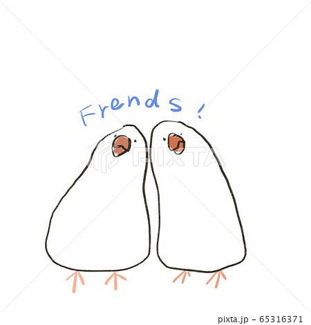 白背景に寄り添う二匹の白文鳥 テキスト有 のイラスト素材