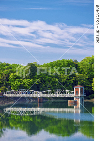 若葉の頃の多摩湖橋から見る村山上貯水池取水塔 65316409