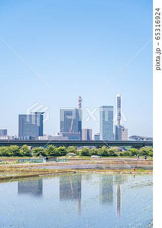 埼玉県さいたま市 見沼田んぼの水田とさいたま新都心 埼玉県さいたま市 見沼田んぼの水田とさいたま新都心 65316924