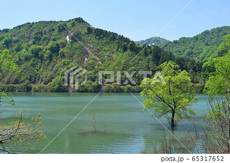 荒沢ダム 県内最大規模 65317652