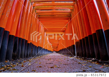 鳥居 65317972