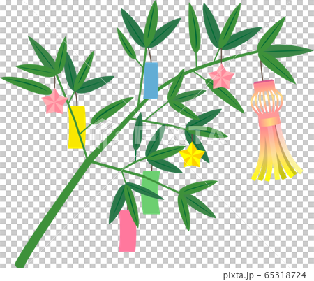 Tanabata material decoration bamboo bamboo Tanabata material decoration bamboo bamboo 65318724