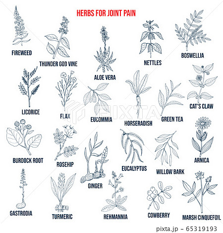 Best herbs for joint pain 65319193