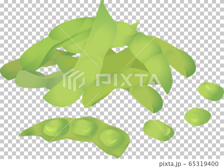 白色背景上的綠色大豆圖 白色背景上的綠色大豆圖 65319400