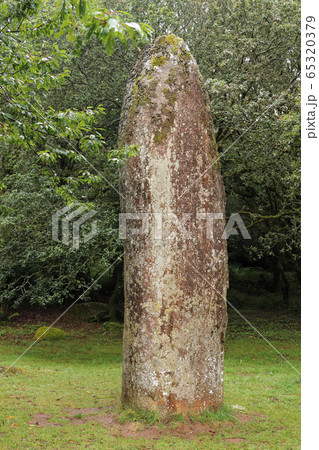 Menhir de Kerampeulven near Berrien in Brittany 65320379