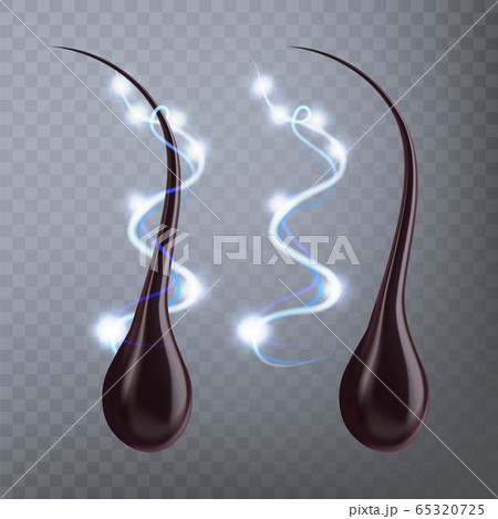 Human Hair Follicle Protective Effect Vector 65320725