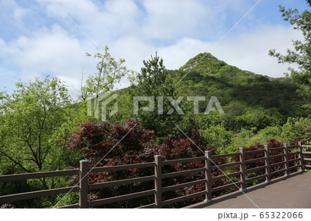 空 雲 雲海 65322066