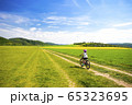 9 years girl going in bicycle across the fields in the sunny day 65323695
