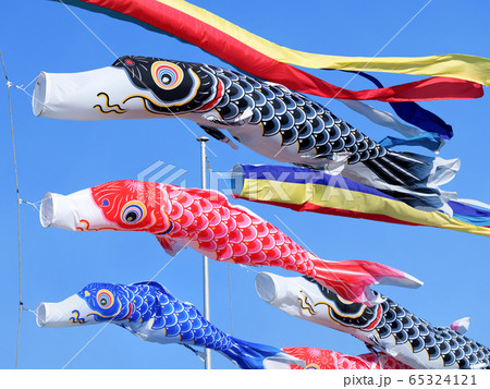 鯉のぼり 鯉のぼり 65324121