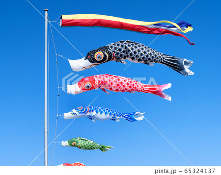鯉のぼり 鯉のぼり 65324137
