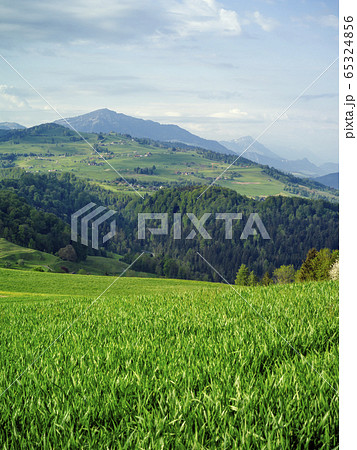 Neuheim in the Canton of Zug, Switzerland Neuheim in the Canton of Zug, Switzerland 65324856