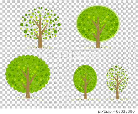 樹木的一套 65325390