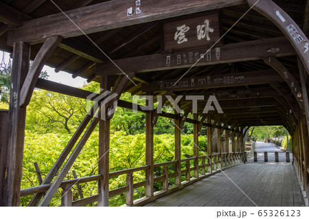 京都東福寺 新緑の臥雲橋 65326123