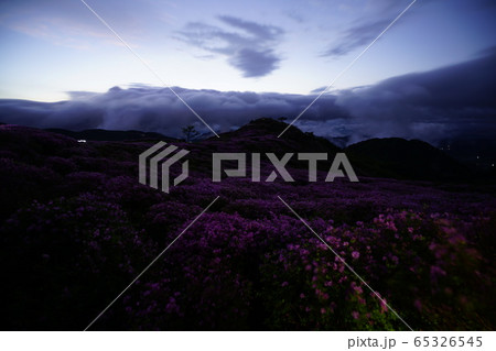 尾根 木 雲海 65326545