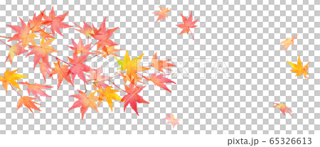 赤く色づいた秋の紅葉の枝と落葉。水彩イラスト 65326613