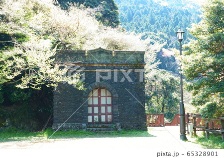 河内桜公園の桜に守られた設備 河内桜公園の桜に守られた設備 65328901