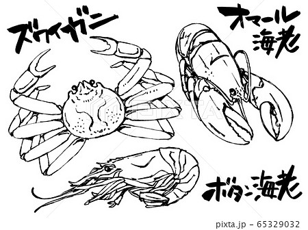 イラスト素材:カニ 海老 甲殻類 食材 イラスト素材:カニ 海老 甲殻類 食材 65329032