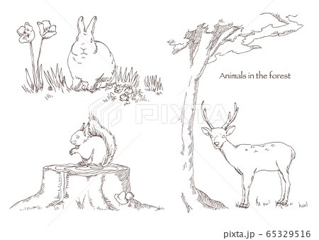 森の動物 うさぎ リス シカの素材イラスト 線画 のイラスト素材