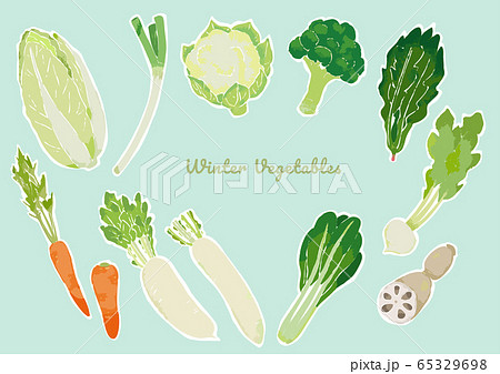 冬のいろんな野菜の素材イラストのイラスト素材