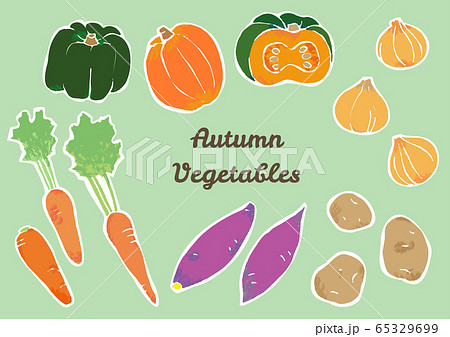 秋のいろんな野菜の素材イラストのイラスト素材