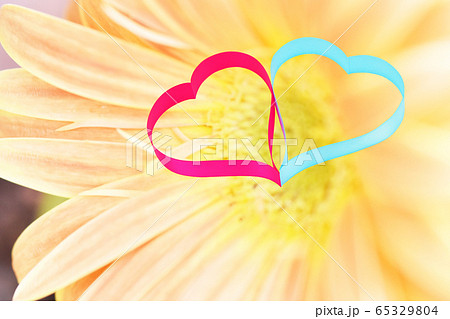 ハート イメージ、心、恋人、愛情、結婚、 ハート イメージ、心、恋人、愛情、結婚、 65329804