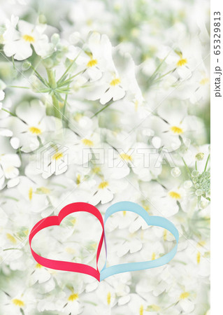 ハート イメージ、心、恋人、愛情、結婚、 ハート イメージ、心、恋人、愛情、結婚、 65329813
