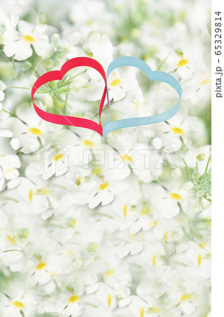 ハート イメージ、心、恋人、愛情、結婚、 ハート イメージ、心、恋人、愛情、結婚、 65329814